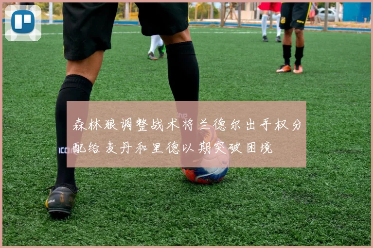 森林狼调整战术将兰德尔出手权分配给麦丹和里德以期突破困境
